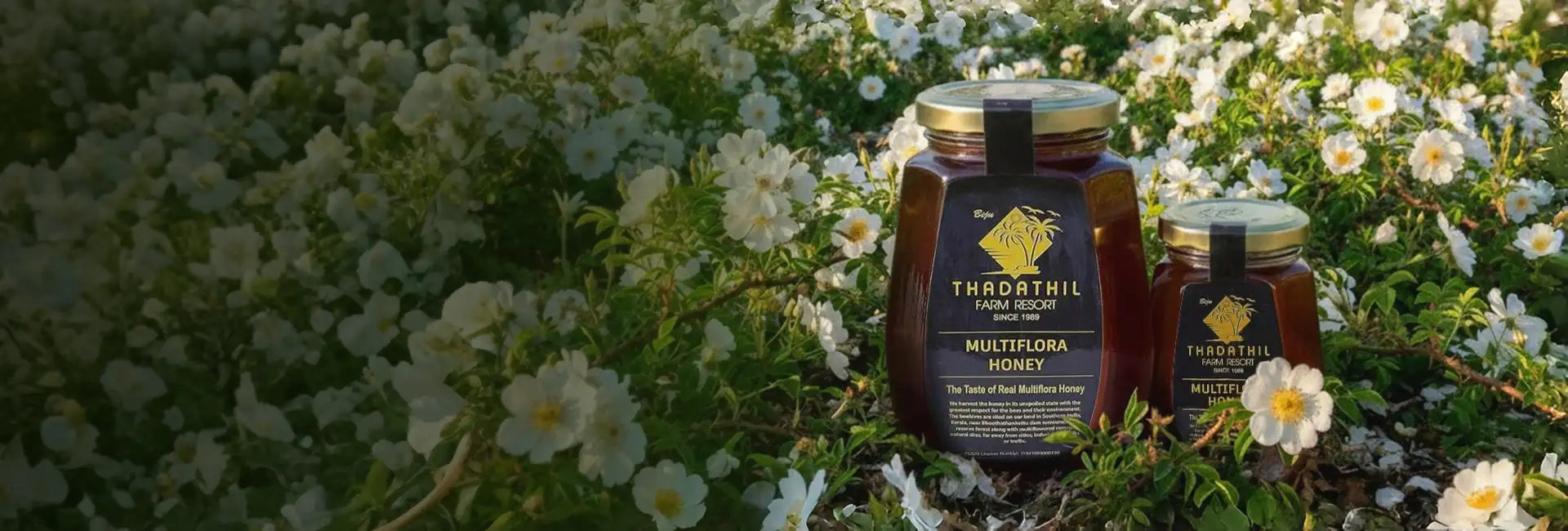 More Flowers. Deeper Nourishment.