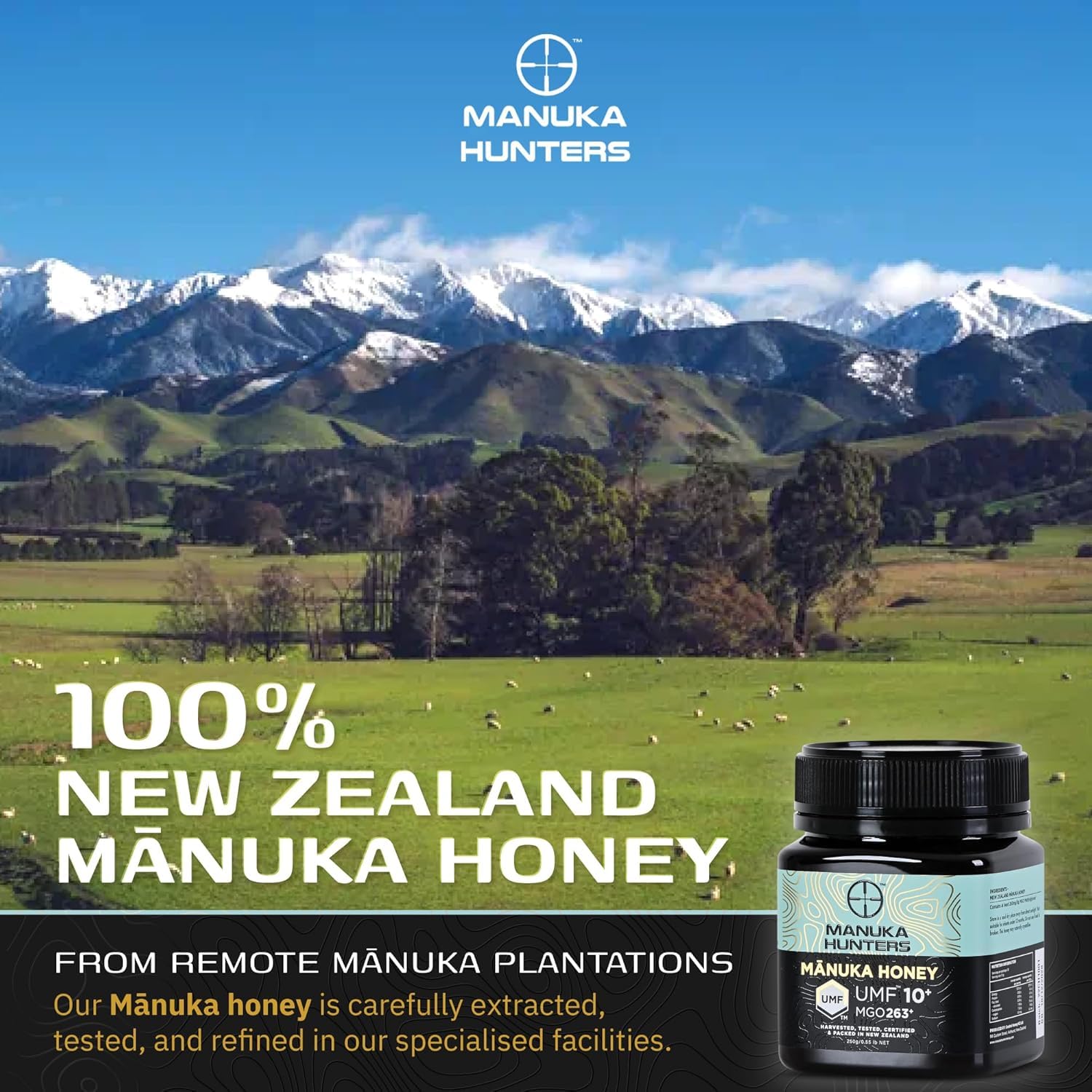 Manuka Honey UMF 10+ (MGO 263+) | Premium Raw Medical Grade Honey from New Zealand | UMF Certified for Purity, Potency & Wellness | 250g Jar