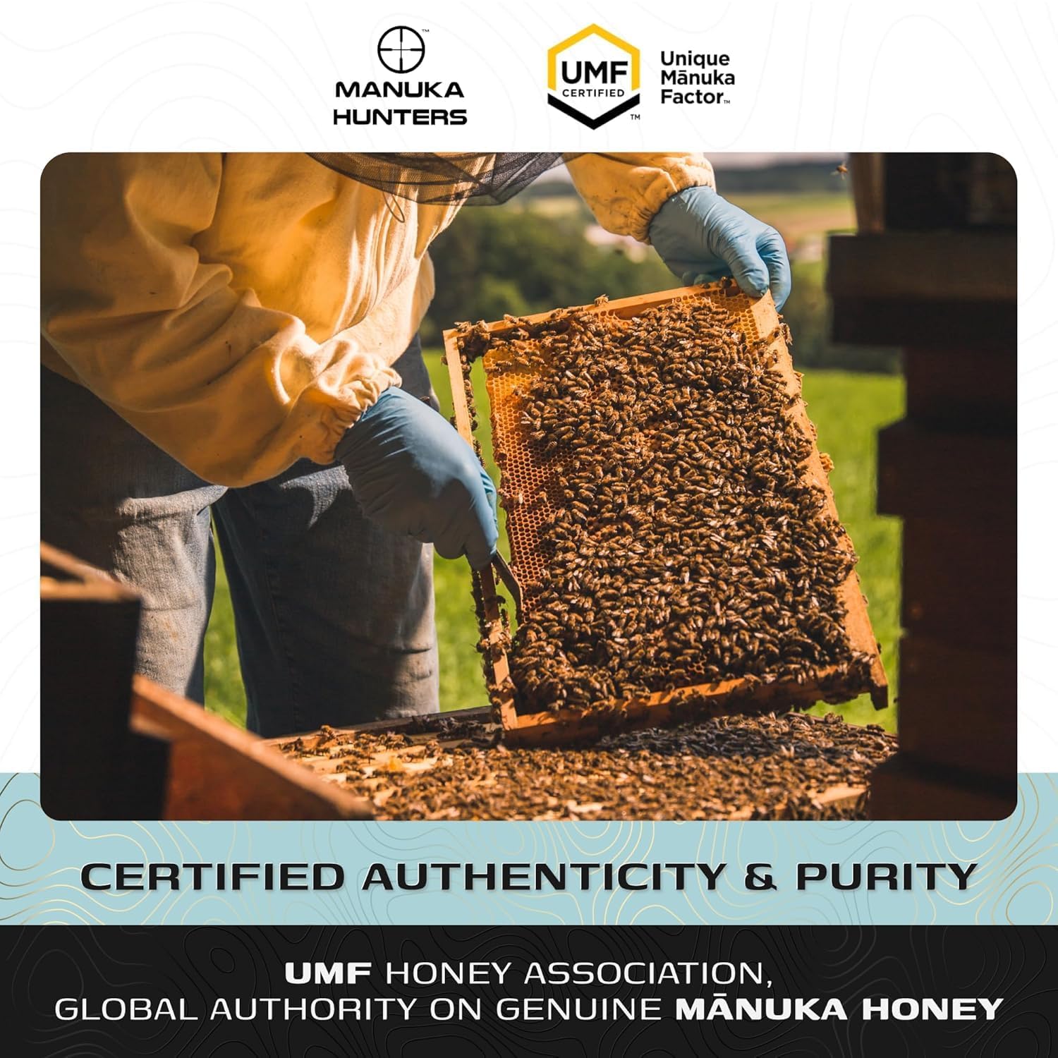 Manuka Honey UMF 5+ (MGO 83+) | 100% Pure Raw UMF Certified New Zealand Honey | Mānuka Hunters 250g Jar