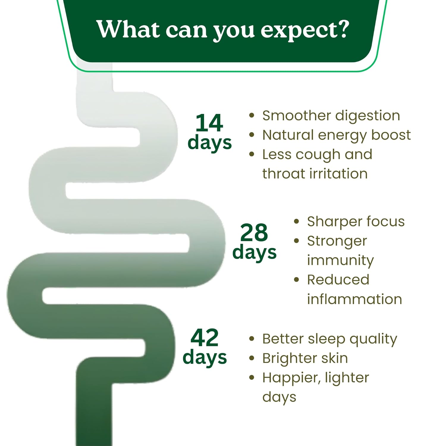 Biju Thadathil Farm | 100% Pure Raw Honey Gift Pack | Natural Bee & Black Forest Honey Combo 1.25Kg with 15g Multiflora Spoon | Unprocessed & Unheated Honey | Perfect Healthy Christmas & Festive Gift Set