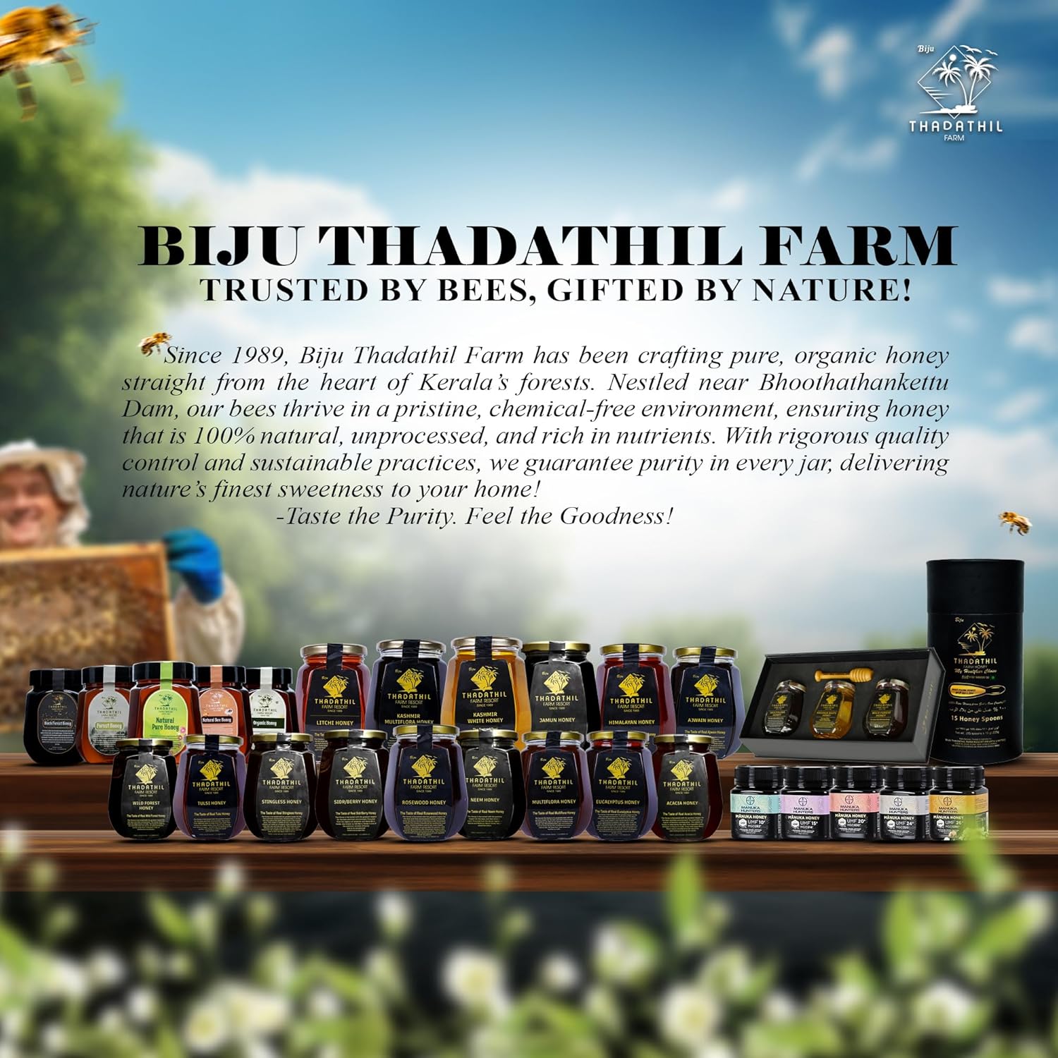 Biju Thadathil Farm Black Forest Honey 500g – Certified Organic by MQA | Organic Forest Honey Without Sugar | Raw, Wild, Unprocessed & Non-Pasteurized | Supports Gut & Skin Health