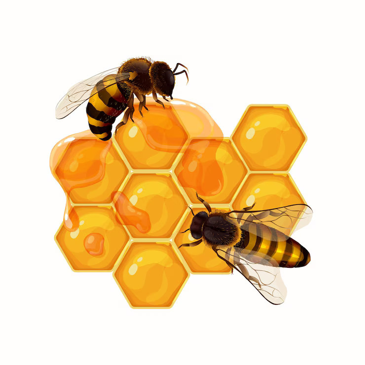 Taste Honey the Way Nature Intended—Only from Biju Thadathil Farm