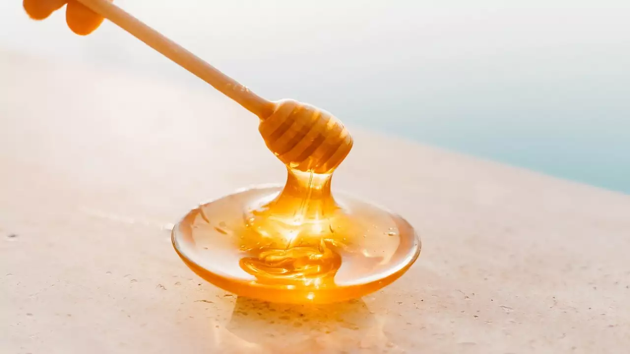 Exploring Pure Honey Available in Kerala