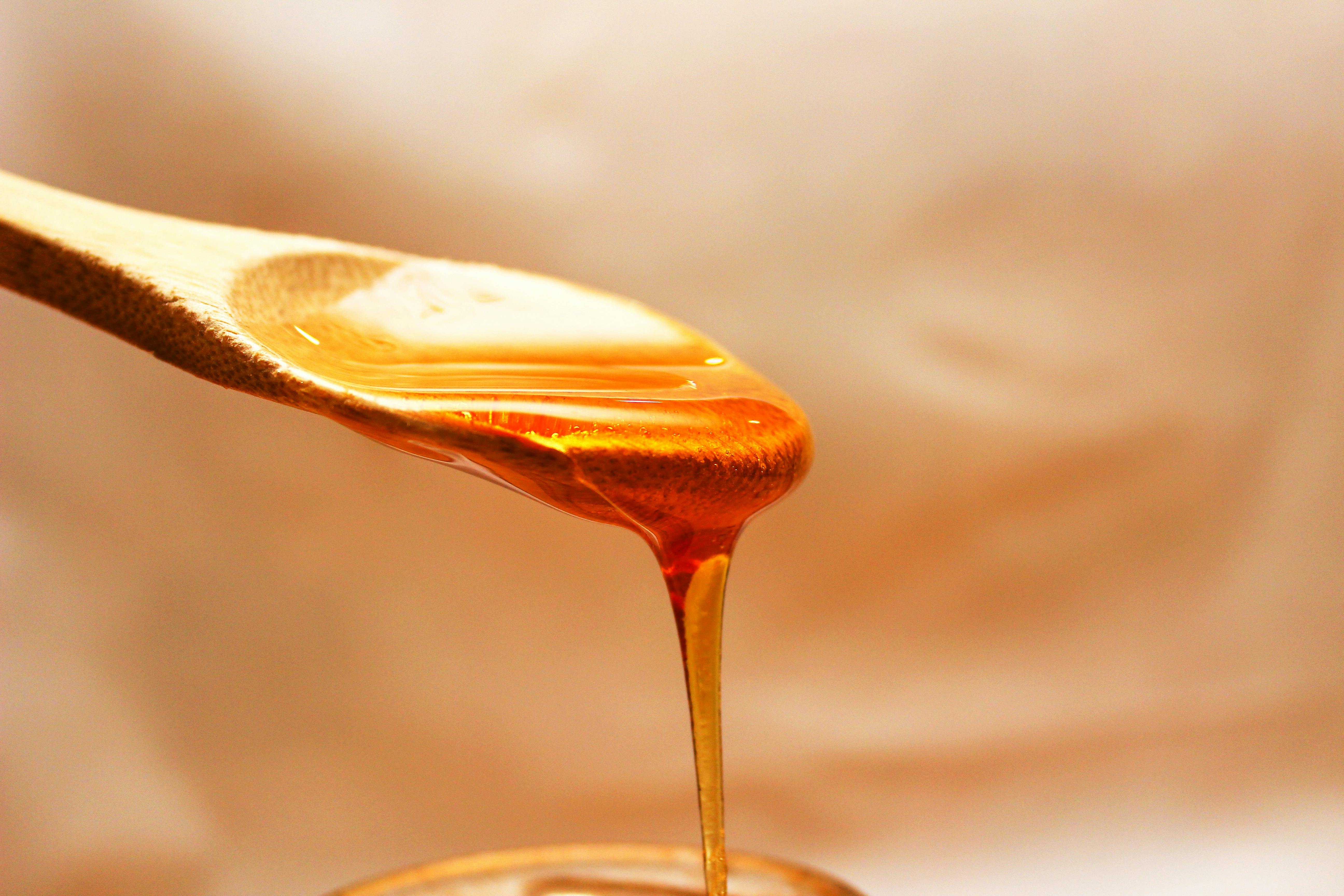 Discovering the World's Best Honey: A Sweet Journey